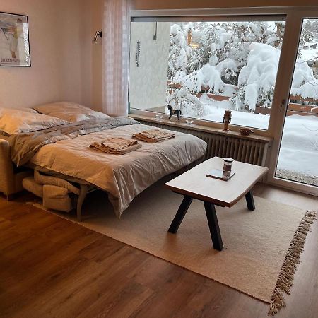 Süsse Ferienwohnung, schöne Umgebung, tolles Wandergebiet Todtnau Exterior foto