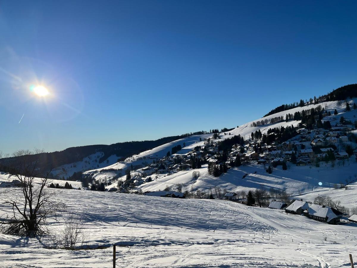 Süsse Ferienwohnung, schöne Umgebung, tolles Wandergebiet Todtnau Exterior foto
