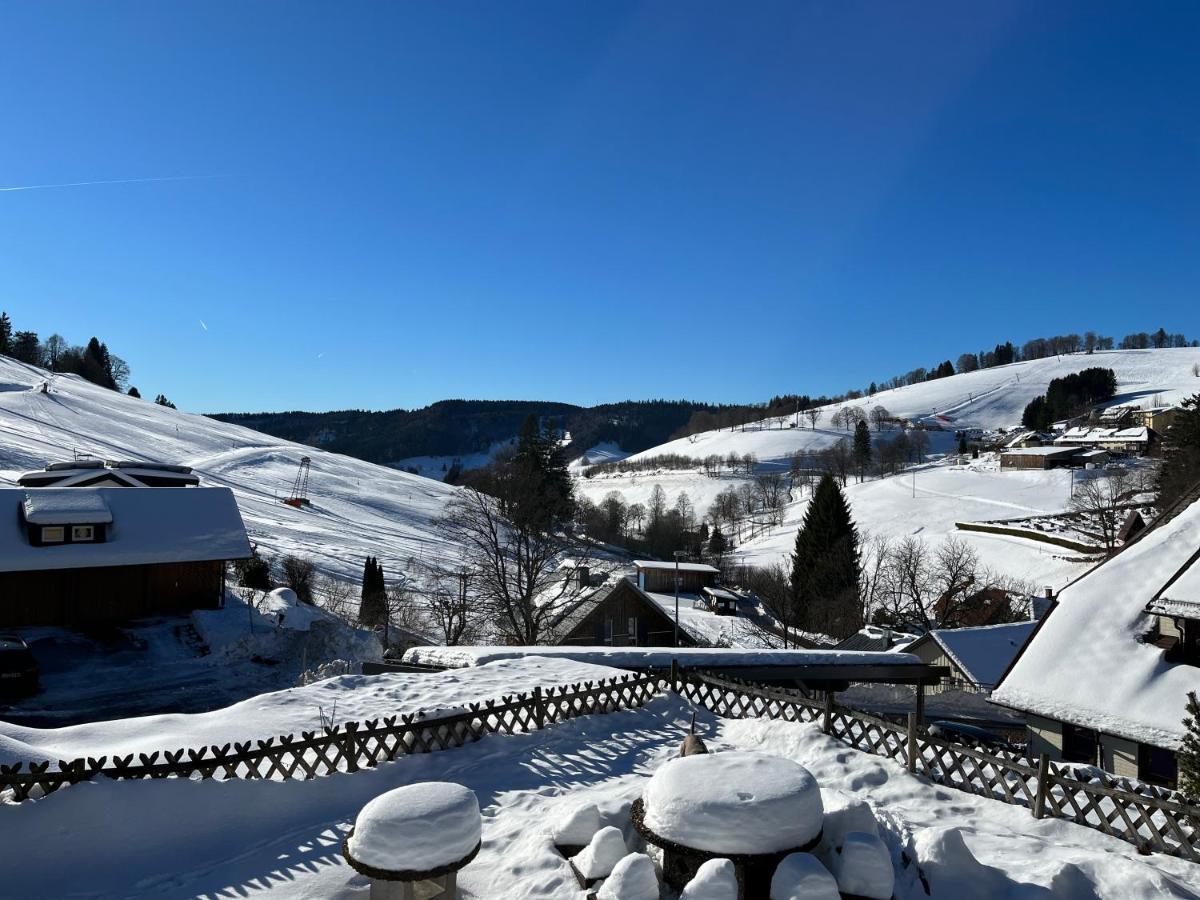 Süsse Ferienwohnung, schöne Umgebung, tolles Wandergebiet Todtnau Exterior foto