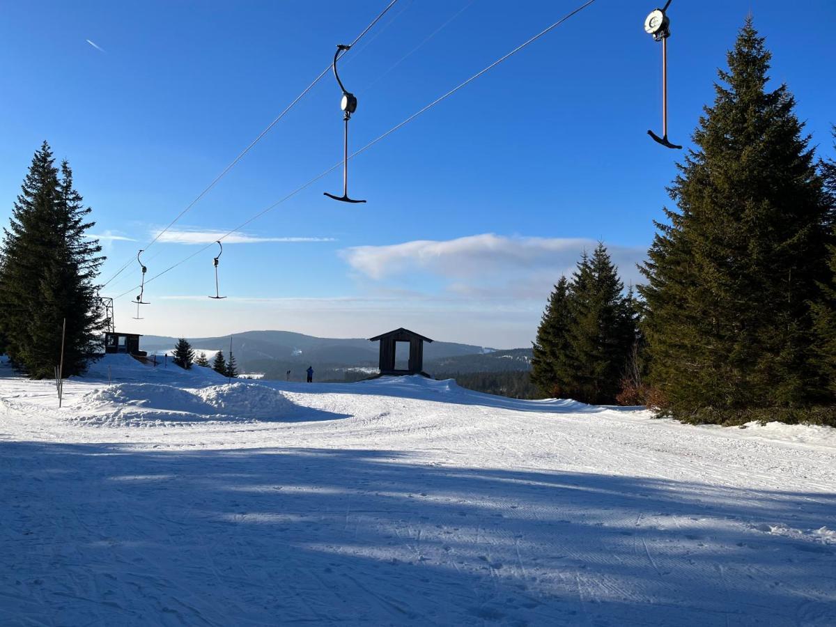 Süsse Ferienwohnung, schöne Umgebung, tolles Wandergebiet Todtnau Exterior foto