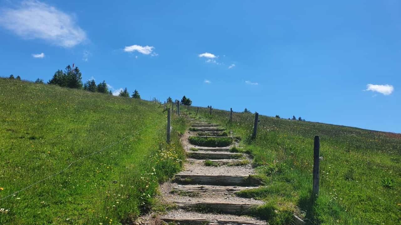 Süsse Ferienwohnung, schöne Umgebung, tolles Wandergebiet Todtnau Exterior foto