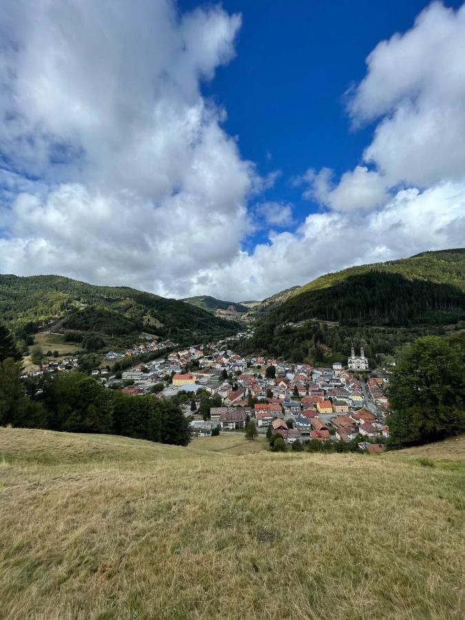 Süsse Ferienwohnung, schöne Umgebung, tolles Wandergebiet Todtnau Exterior foto